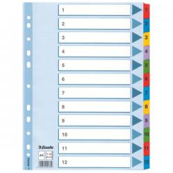 Przek.ESSELTE Mylar kar. 1-12 A4 261350